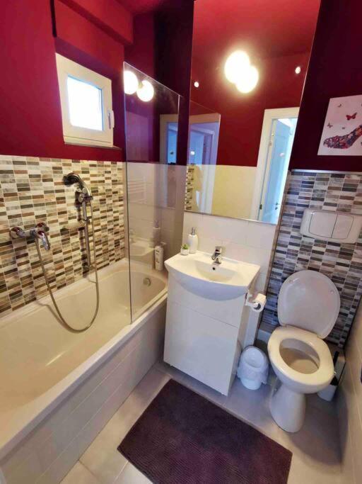Lovely 3-Bedroom Apartment In The City Center Timisoara Exterior photo