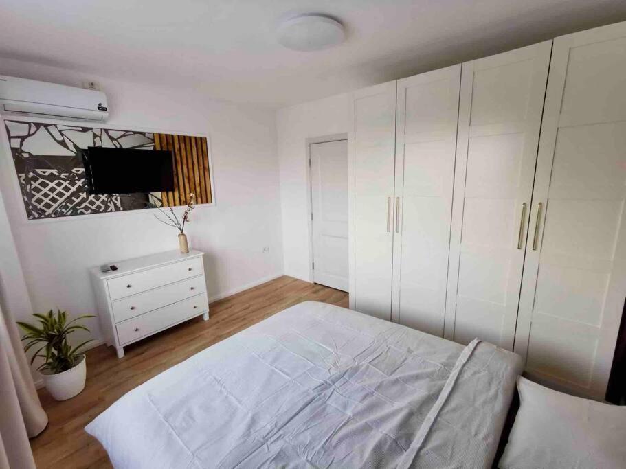 Lovely 3-Bedroom Apartment In The City Center Timisoara Exterior photo