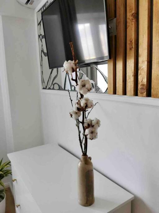 Lovely 3-Bedroom Apartment In The City Center Timisoara Exterior photo