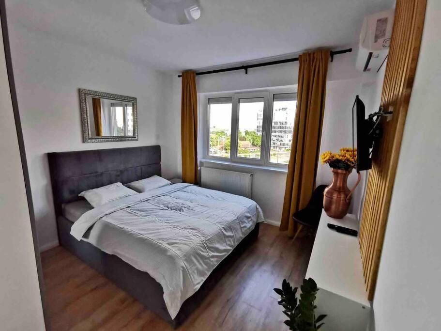 Lovely 3-Bedroom Apartment In The City Center Timisoara Exterior photo