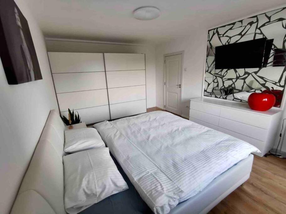 Lovely 3-Bedroom Apartment In The City Center Timisoara Exterior photo